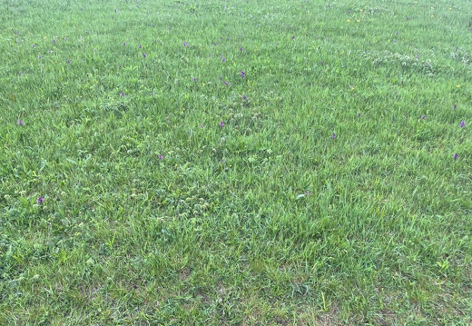 23-05-23 13-21-46 5598